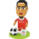 Wise Hawk Virgil van Dijk