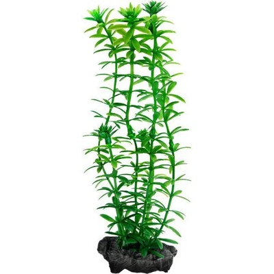 TETRA Egeria densa (Anacharis) - растение Tetra 23 см, M