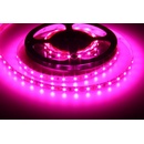 T-LED 078081