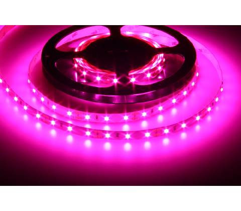 T-LED 078081