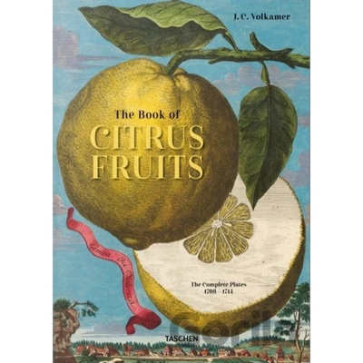 J.C. Volkamer. Citrus Fruits - Iris Lauterbach