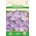 Seklos Кампанула Синя Campanula carpatica Jacq