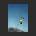 Yeah Yeah Yeahs - Cool It Down LP
