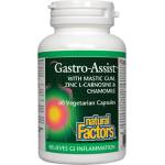Natural Factors Gastro Assist [60 капсули]
