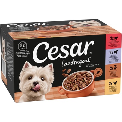Cesar Country Kitchen Adult Favourites míchané 48 x 150 g