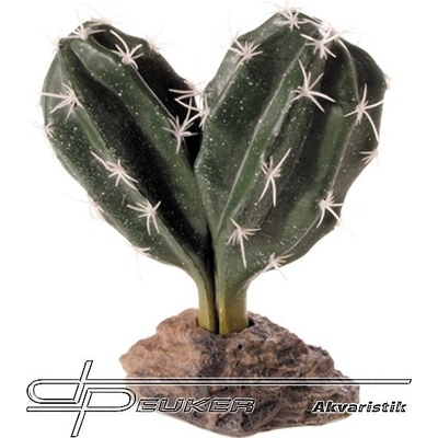 Hobby Kaktus Sinai 13 cm