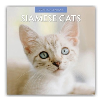 Browntrout Verlags GmbH Siamese Cats - Siamkatzen - Siamesische Katzen 2026 - 16-Monatskalender | Red Robin Publishing Ltd