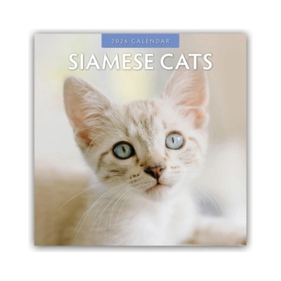 Browntrout Verlags GmbH Siamese Cats - Siamkatzen - Siamesische Katzen 2026 - 16-Monatskalender | Red Robin Publishing Ltd