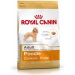 Royal Canin Poodle Adult 1,5 kg