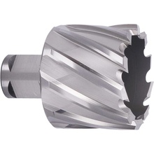 ABSE N-HS-W19-0460025