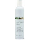 Milk Shake Normalizing Blend Shampoo 300 ml