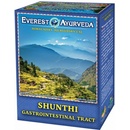 Everest Ayurveda Shunthi Žalúdok a črevá sypaného čaju 100 g