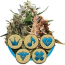 Royal Queen Seeds CBD Mix semena neobsahují THC 3 ks