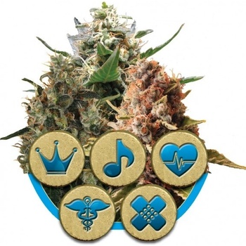 Royal Queen Seeds CBD Mix semena neobsahují THC 3 ks