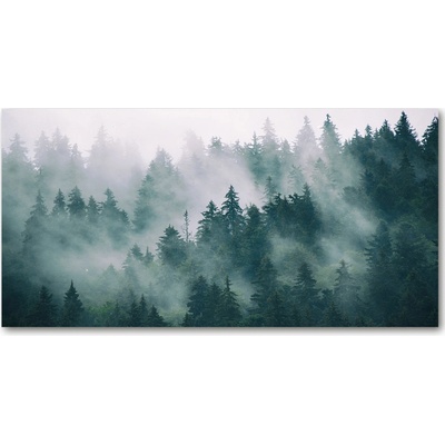 Fotoobraz na skle Hmla nad lesom 100x50 cm
