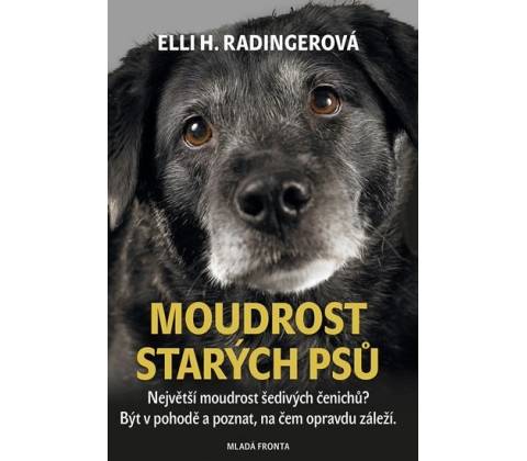 Moudrost starých psů