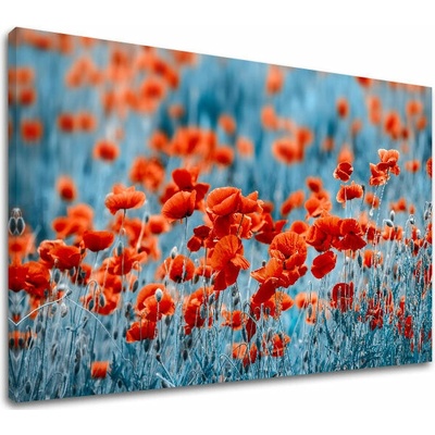 Obraz na stenu ČERVENÉ KVETY_159-11 - 20x30 cm