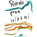 Slovensko pred voľbami