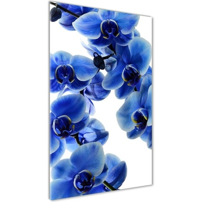 Vertikálny foto obraz sklenený Modrá orchidea 50x100 cm