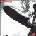 LED ZEPPELIN - I
