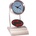 MPM C01.2770.70