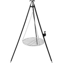 Kaminer 27556