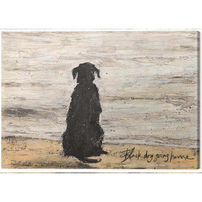 Obraz na plátne Sam Toft - Black Dog Going Home, 2 - 30×40 cm
