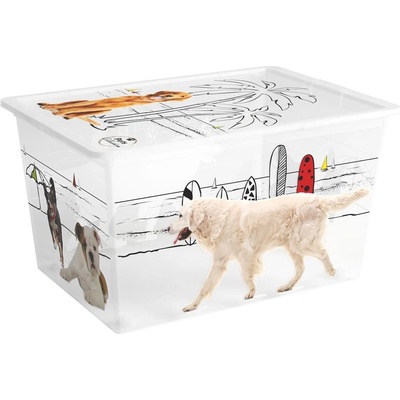 Kis C Box Style Pets Collection XL 50l