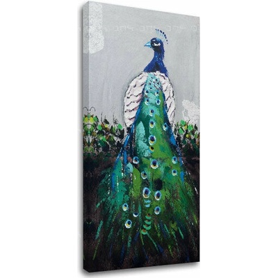 Obraz na plátne PÁV 60x120 cm