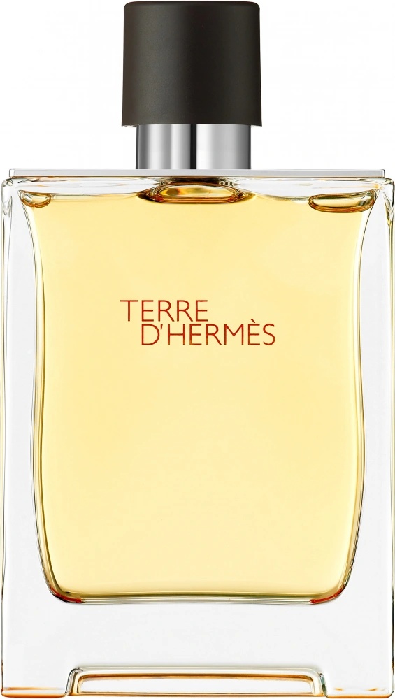 Hermès Terre D'Hermès parfém pánský 200 ml