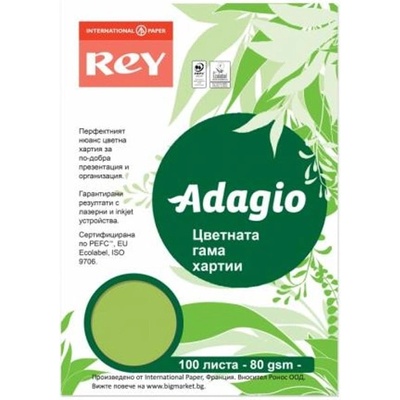REY Копирна хартия Rey Adagio, A4, 80 g/m2, зелена, 100 листа