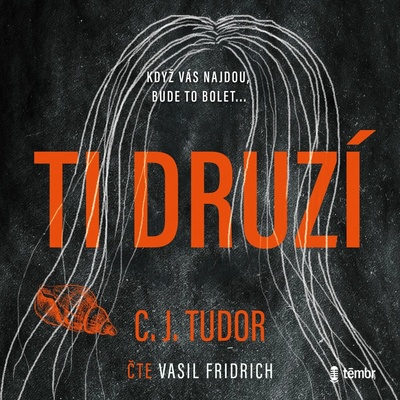 Ti druzí - C. J. Tudorová - čte Vasil Fridrich