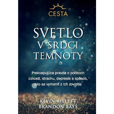 Svetlo v srdci temnoty - Kevin Billett, Brandon Bays