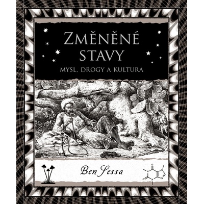 Změněné stavy - Mysl, drogy a kultura - Ben Sessa