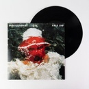 PALE JAY - BEWILDERMENT LP