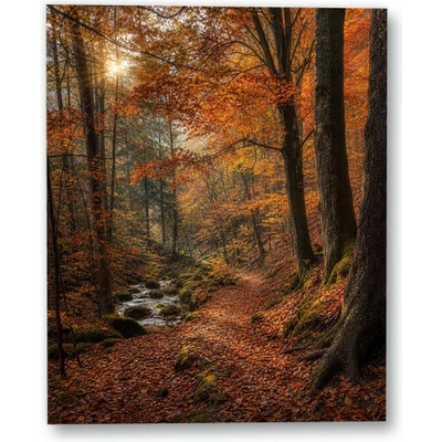 Plakát – Podzimní lesní cesta u potoka 40 × 50 cm Bez rámu Ne Bez rámu – Hledejceny.cz