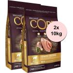 Wellness Core Dog Senior Original 2 x 10 кг