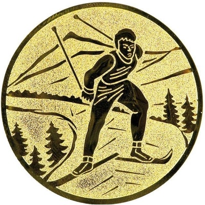 0359 Emblém lyžování – Zboží Mobilmania