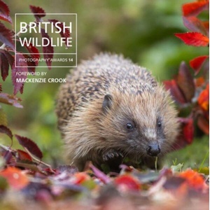 British Wildlife Photography Awards 14 | Will Nicholls (ISBN: 9781805951483)