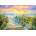 Castorland - Puzzle Morning ride - 1 000 piese