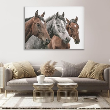 Decono Картина Три жребци