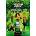 EXPLORER ACADEMY VELA UNBREAKABLE BOND | TRUEIT TRUDI