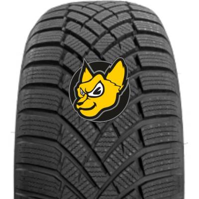 Toyo Observe EWS1 225/50 R17 98V