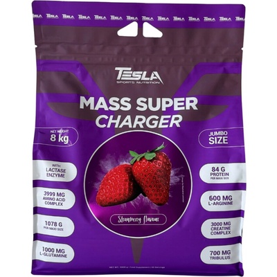 Tesla Mass Super Charger 8000 g