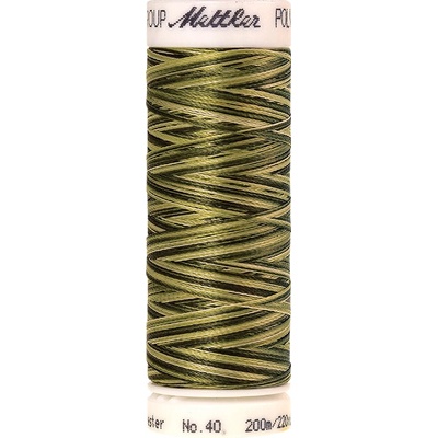 Nitě POLY SHEEN MULTI vyšívací 200m 200m art. 4820 polyester AMANN Mettler - více barev barva.: 9976 Mossy Tones