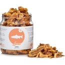 Raw Raw pochúťka mrazom sušené mäso z Lososa 110 g