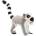 Lemur
