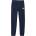 GAP V-frch logo s