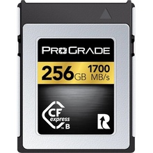 ProGrade Digital CFexpress 2.0 Type B Gold 256 GB PGCFX256GAPNA