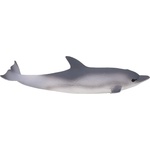 Mojo Фигурка Mojo Sealife - Делфин II (387358) - baby
